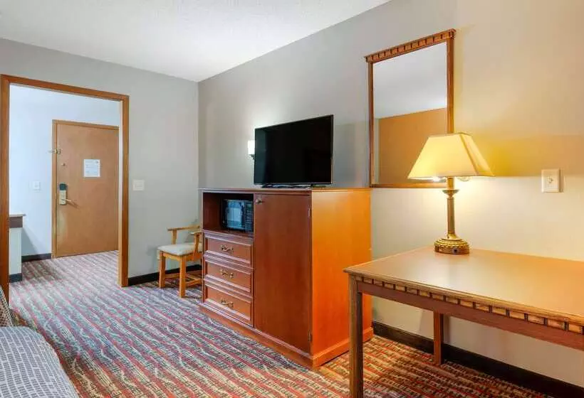 Отель Econo Lodge Lakeview