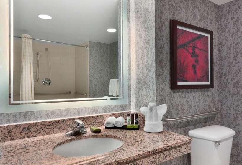 فندق Embassy Suites By Hilton Dulles Airport