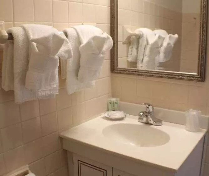 酒店 Waynebrook Inn, Est 1865