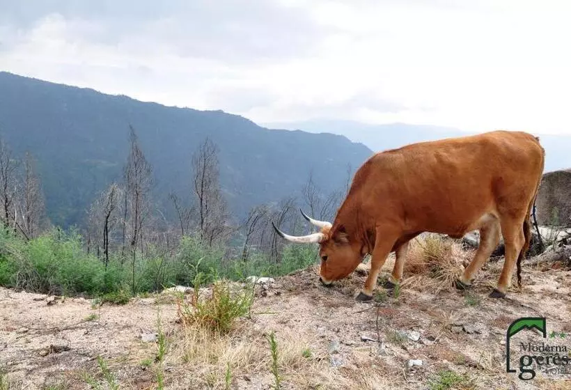 Majatalo Gerês Guest House