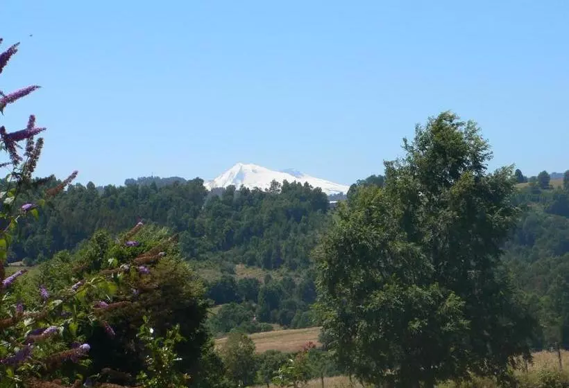 Hotelli Adela Y Helmut