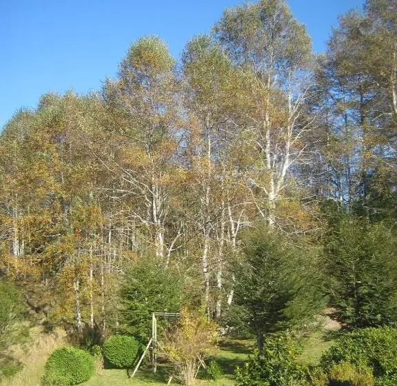 Hotelli Adela Y Helmut