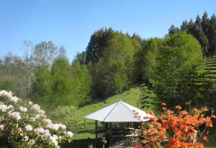 Hotelli Adela Y Helmut