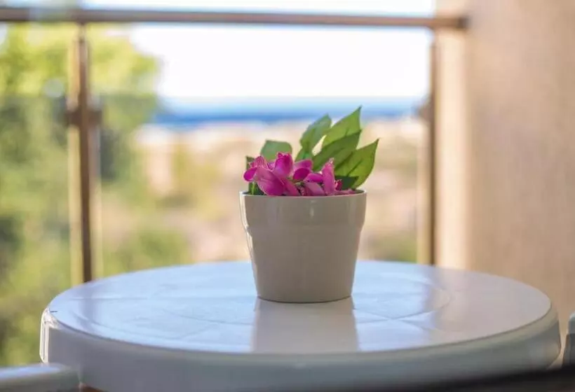 Hotel Amfibia Beach Complex