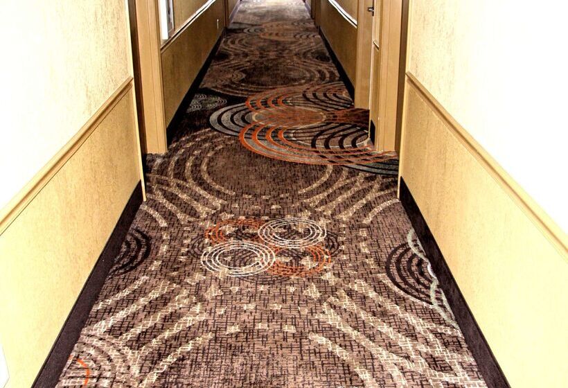 فندق Best Western Plus Jackson Downtowncoliseum