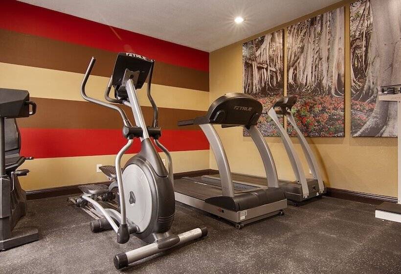 فندق Best Western Plus Jackson Downtowncoliseum