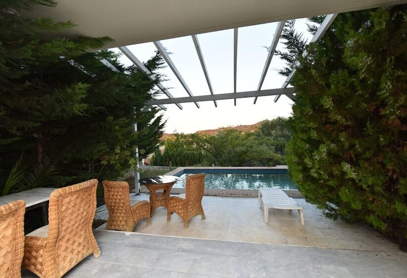 酒店 Olympic Kosma