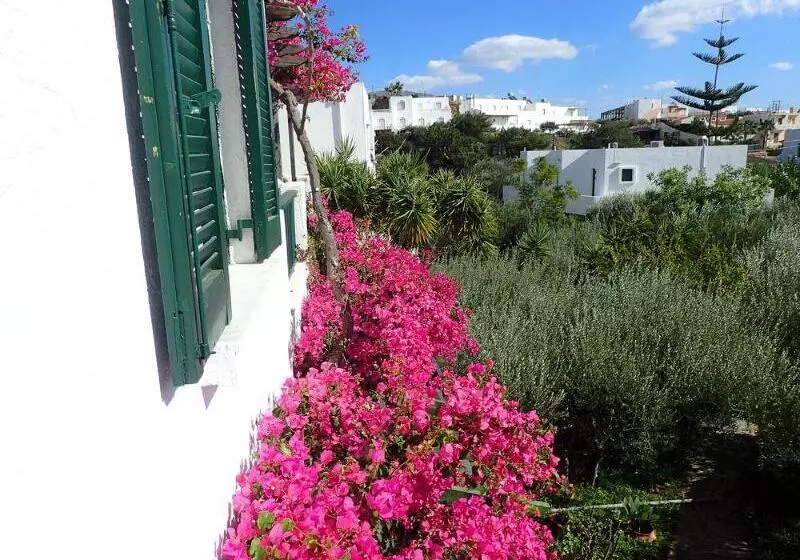 호텔 Villea Village