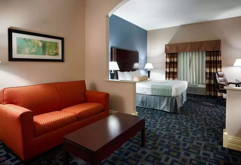 酒店 Best Western Plus Kalamazoo Suites