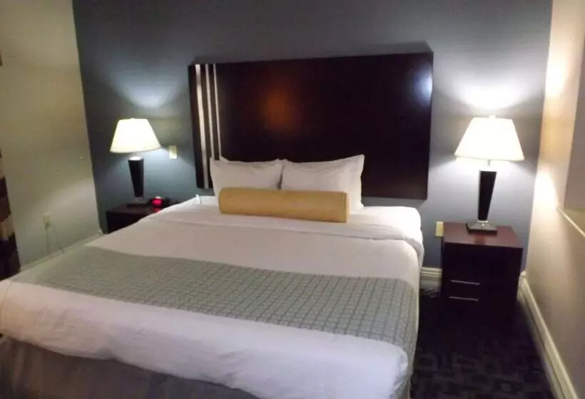 酒店 Best Western Plus Kalamazoo Suites