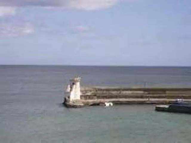 בית מלון כפרי Bracken Court