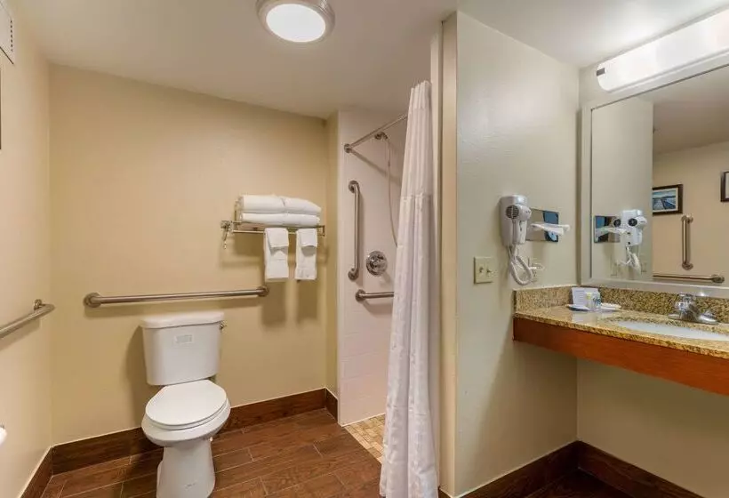 Отель Comfort Inn & Suites