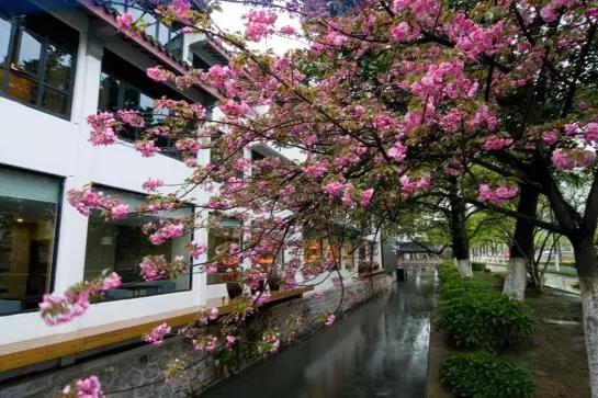 ホテル Le View Seasons Suites