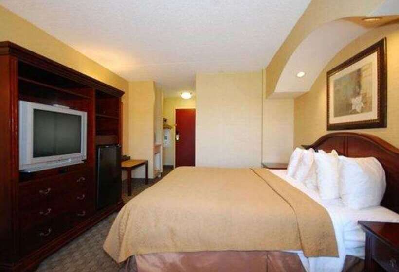 ホテル Quality Inn & Suites