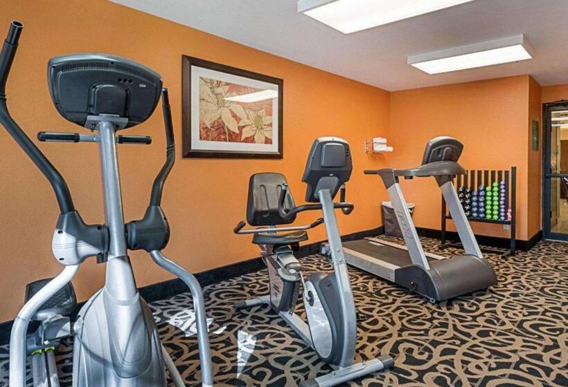 בית מלון כפרי Quality Suites