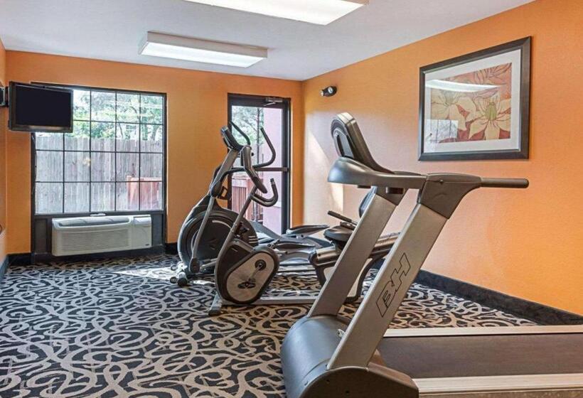 בית מלון כפרי Quality Suites