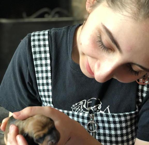 민박 Hillview Cottage