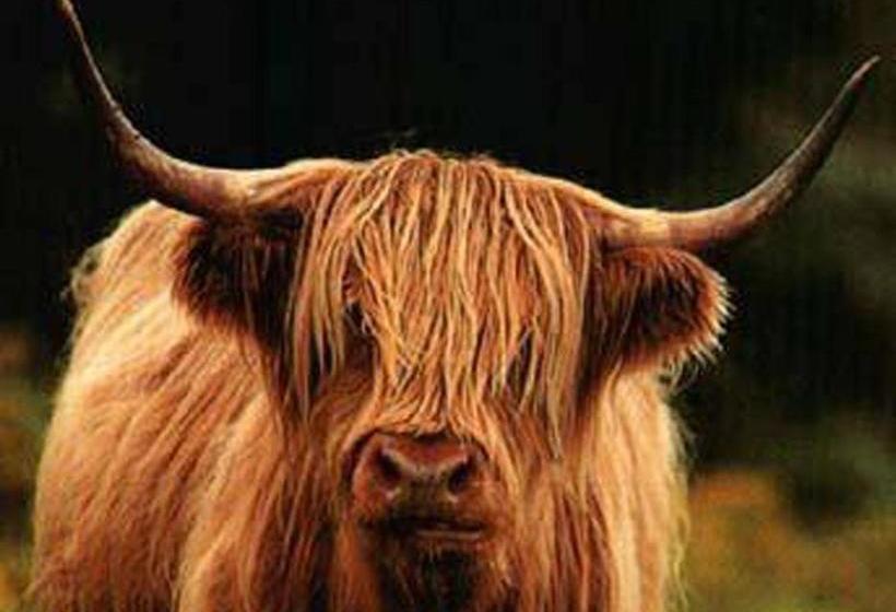 민박 Hillview Cottage