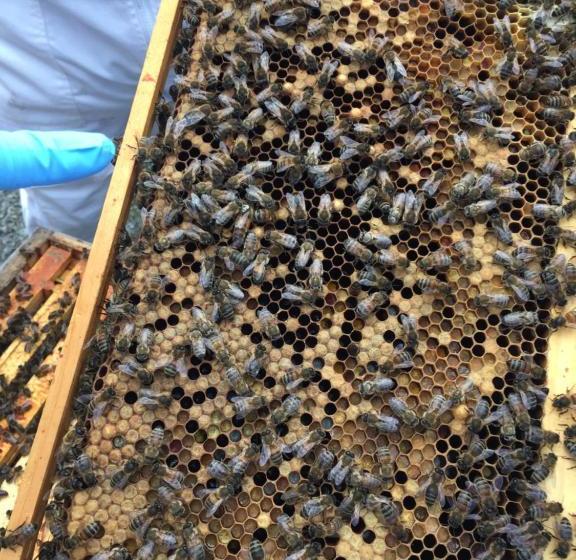 민박 Hillview Cottage