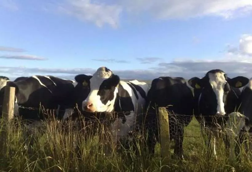 ベッドアンドブレックファースト Hillview Cottage