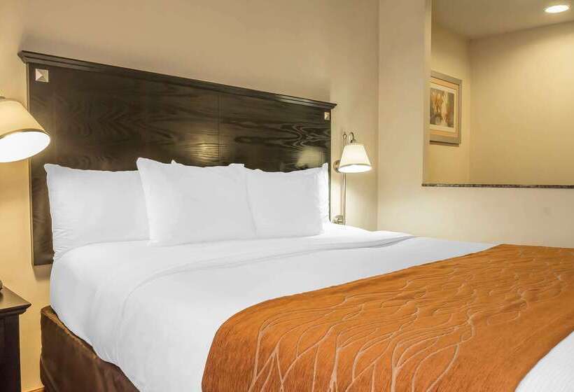 ホテル Comfort Inn & Suites Laguardia Airport