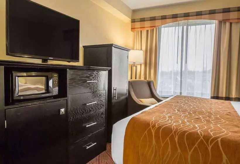 ホテル Comfort Inn & Suites Laguardia Airport