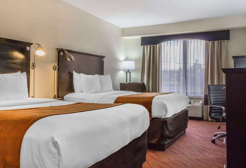ホテル Comfort Inn & Suites Laguardia Airport