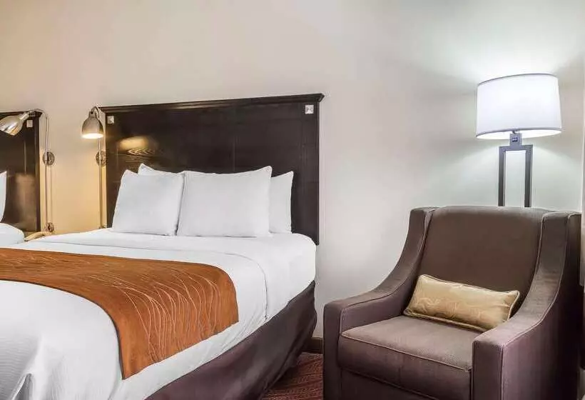 ホテル Comfort Inn & Suites Laguardia Airport