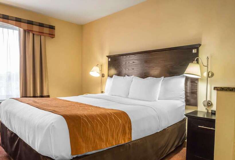 ホテル Comfort Inn & Suites Laguardia Airport