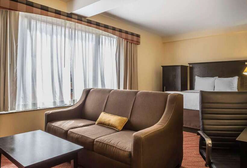 ホテル Comfort Inn & Suites Laguardia Airport