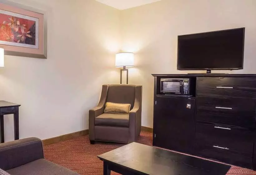 ホテル Comfort Inn & Suites Laguardia Airport