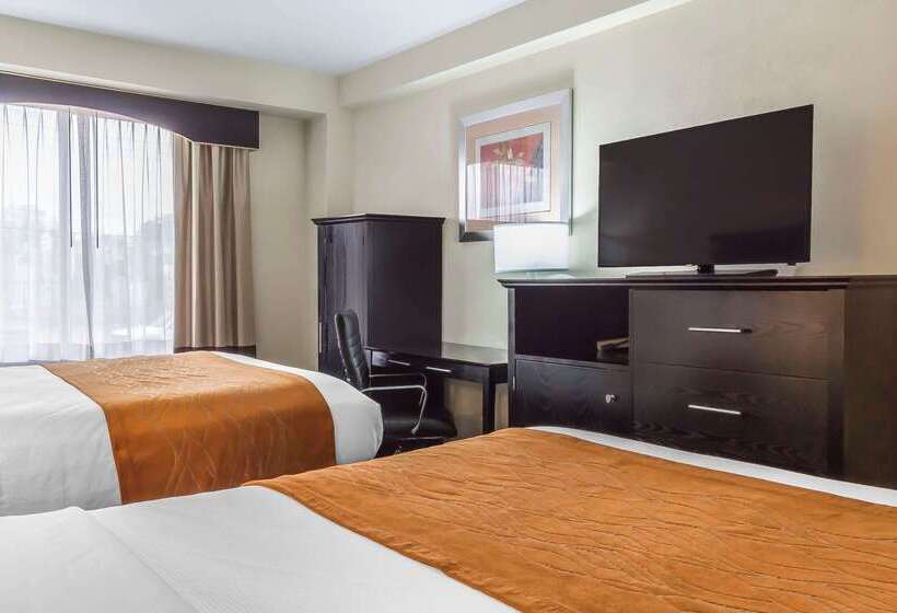 ホテル Comfort Inn & Suites Laguardia Airport