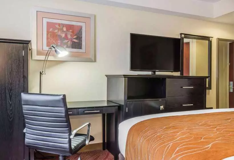 ホテル Comfort Inn & Suites Laguardia Airport