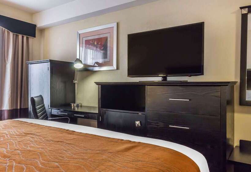 ホテル Comfort Inn & Suites Laguardia Airport