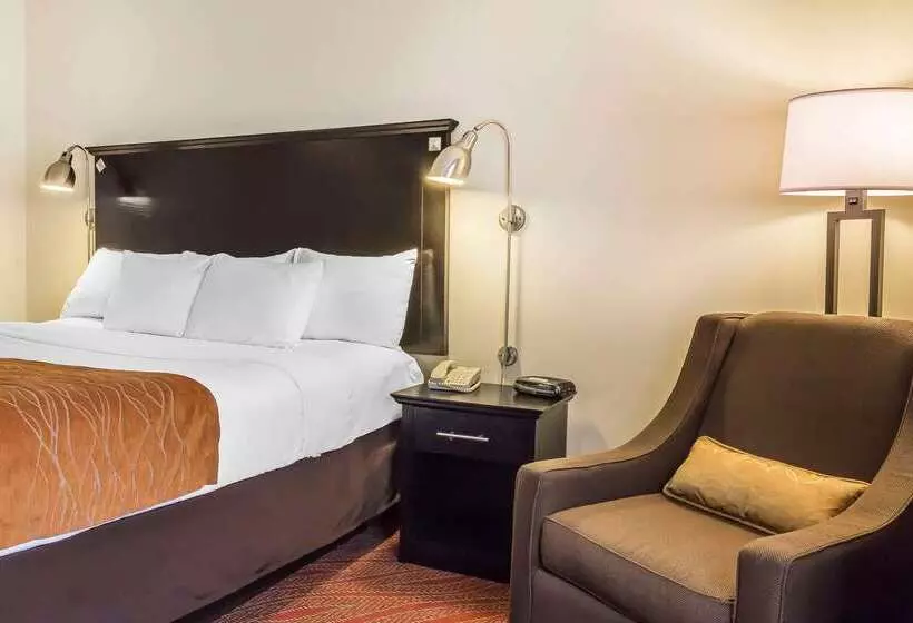 ホテル Comfort Inn & Suites Laguardia Airport