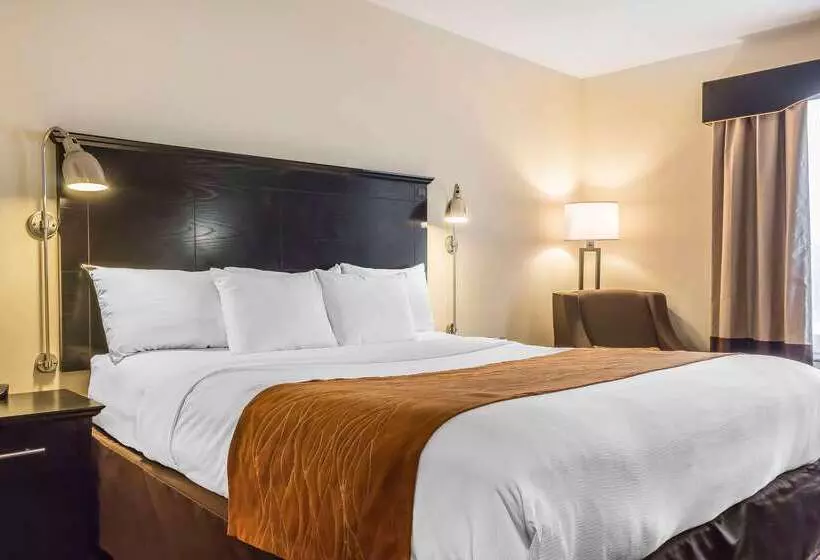ホテル Comfort Inn & Suites Laguardia Airport