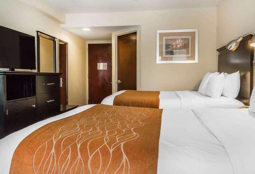ホテル Comfort Inn & Suites Laguardia Airport