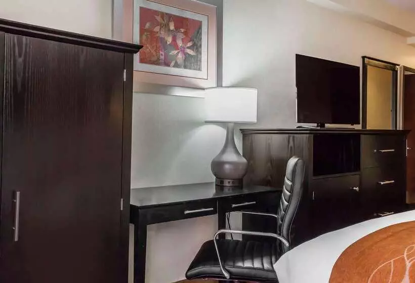 ホテル Comfort Inn & Suites Laguardia Airport