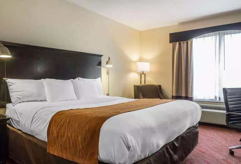 ホテル Comfort Inn & Suites Laguardia Airport