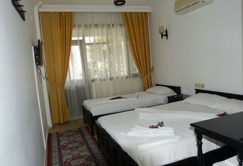 בית מלון כפרי Dönmez