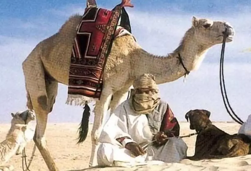 هتل Sun Palm Douz