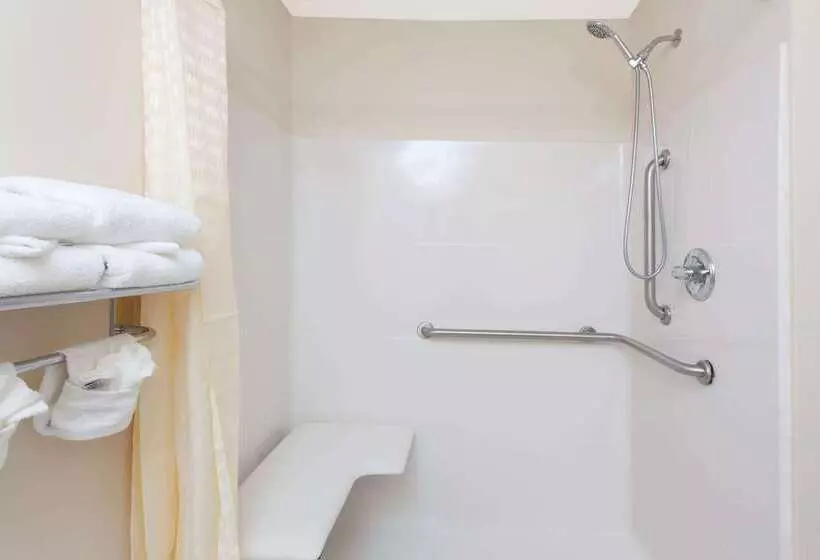 Microtel Inn & Suites By Wyndham Conyers/atlanta Area