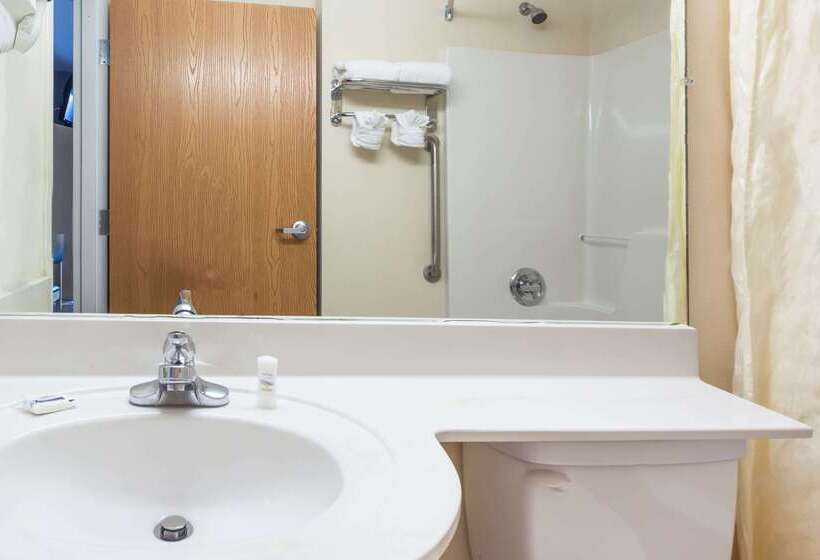 Microtel Inn & Suites By Wyndham Conyers/atlanta Area