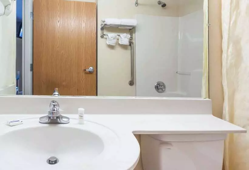 Microtel Inn & Suites By Wyndham Conyers/atlanta Area