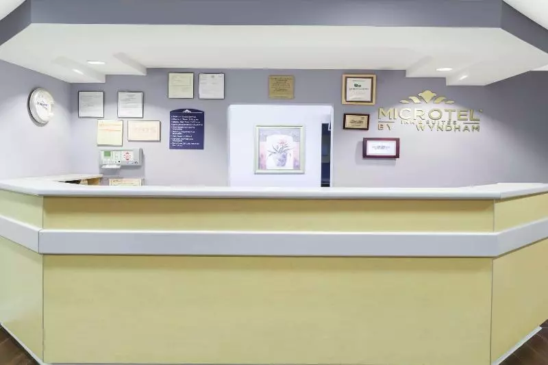 Microtel Inn & Suites By Wyndham Conyers/atlanta Area