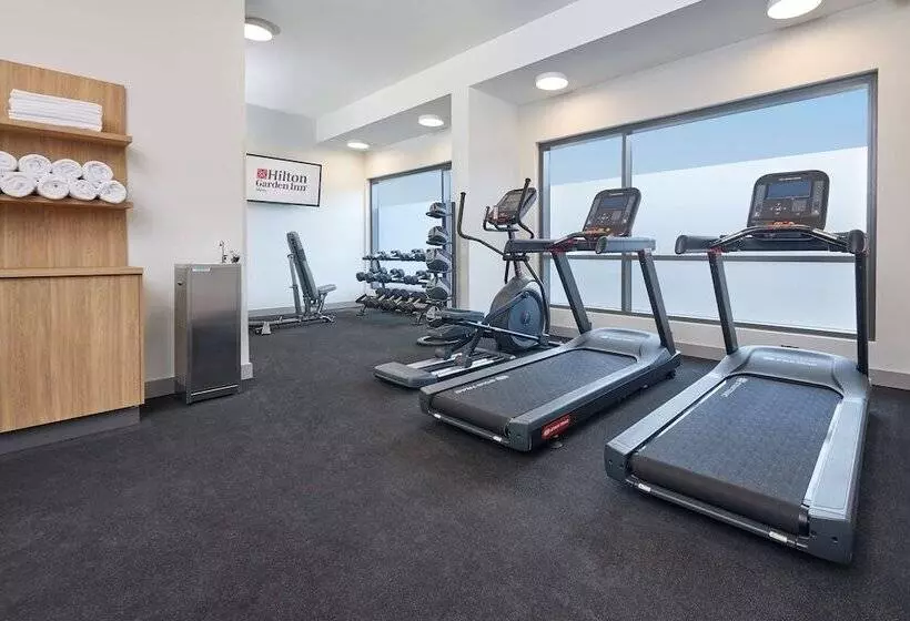 ホテル Hilton Garden Inn Albany