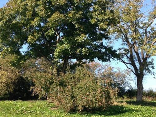 Hotel Maison D'eclaibes