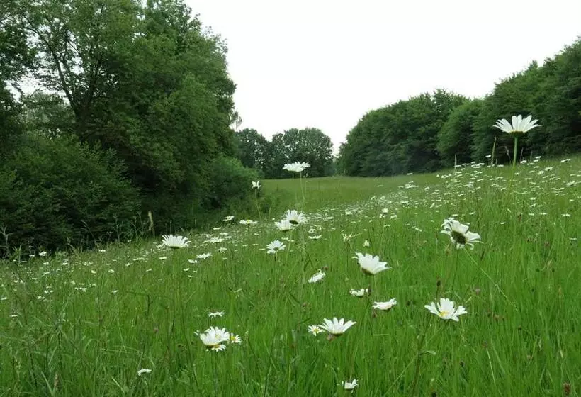 Hotelli Maison D'eclaibes