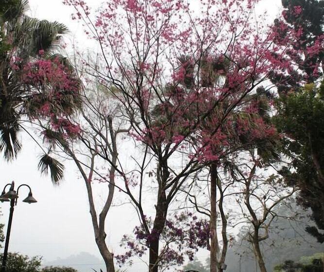 هتل Red Brick Villas