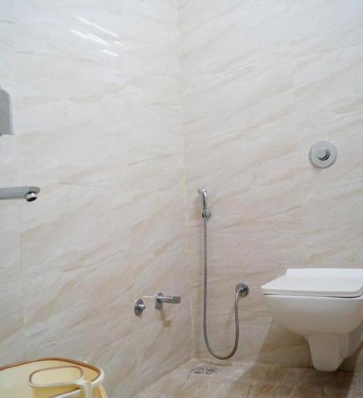 هتل Shree Shyam International